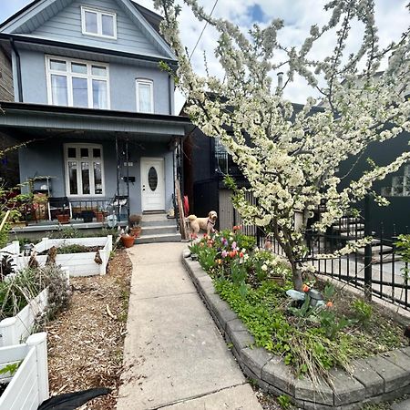 Garden Oasis Villa Toronto Eksteriør bilde