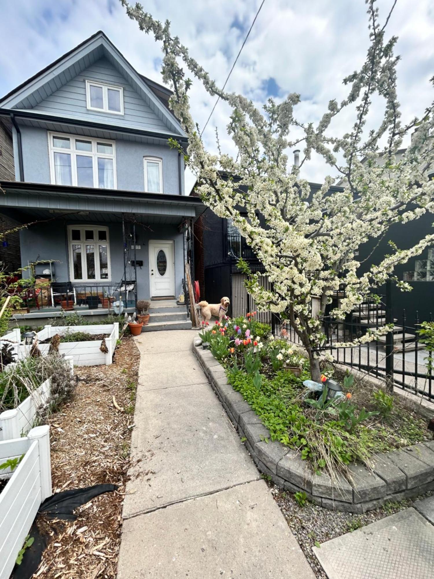Garden Oasis Villa Toronto Eksteriør bilde